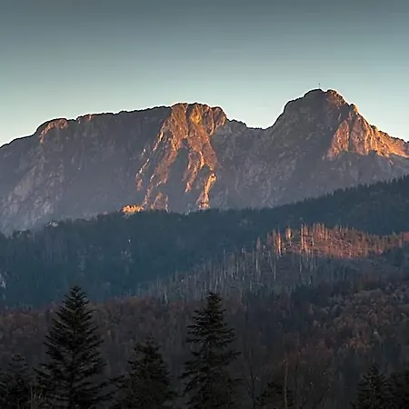 Goralska 4* Косцелиско